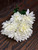_CHRYSANTHEMUM BUSH _CHRYSANTHEMUM BUSH