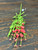ORANGE STALK FLOWERS ORANGE STALK FLOWERS