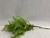 LIGHT GREEN FERN SMALL PICK LIGHT GREEN FERN SMALL PICK
