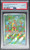 2025 Pokemon Shuckle Illustration Rare Psa 10