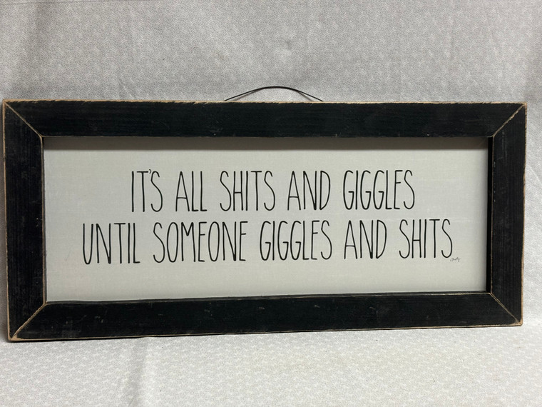 IT'S ALL SHIT & GIGGLES - 20x8