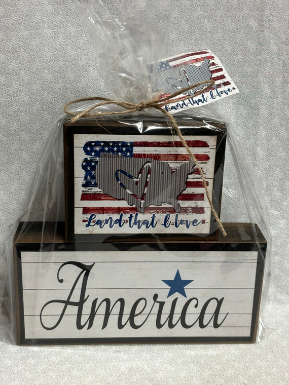 BLOCKS USA MAP AMERICA
