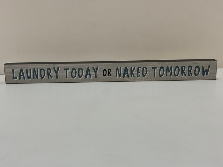 Laundry Today or Naked Tomorrow