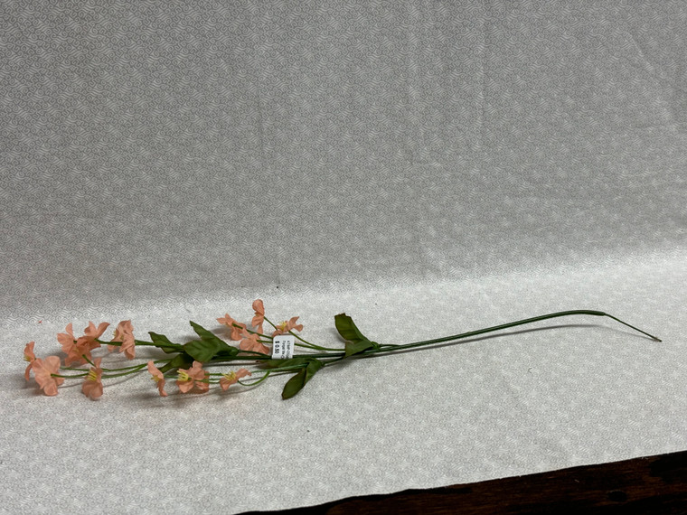 FORGET ME NOT-ORANGE