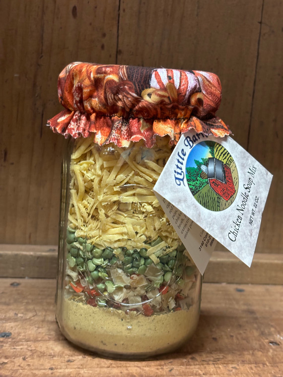 CHICKEN NOODLE SOUP MIX (22OZ)