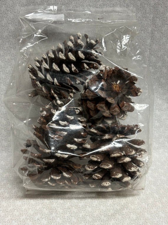 WHITED TIPPED LG CONES