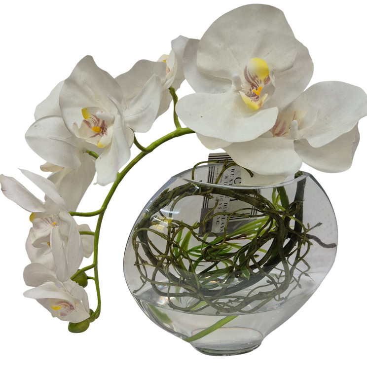 ORCHID WITH VINES GLASS VASE ACRYLIC WATER