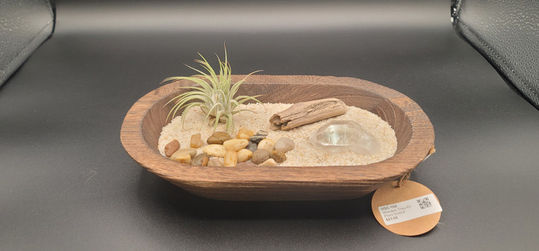 Wooden Tray Air Plant Scene