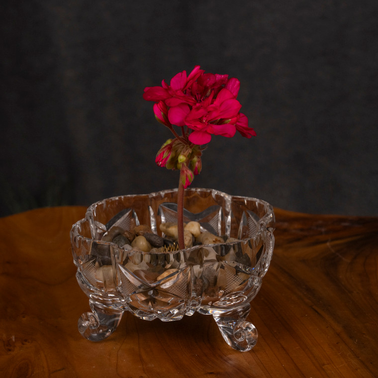 Footed Crystal Sugar Dish w Flower Frog