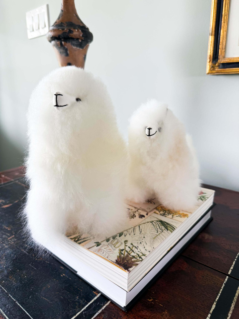 Plush Huaycaya Alpaca - Four Acres Living