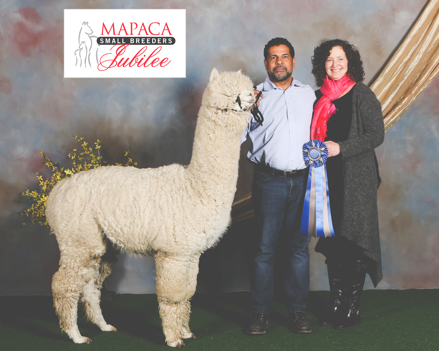 Alpaca Navigator Blue Ribbon