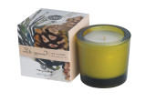 White Spruce Soy Candle- NEW