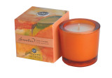 Clementine Soy Candle - NEW! 