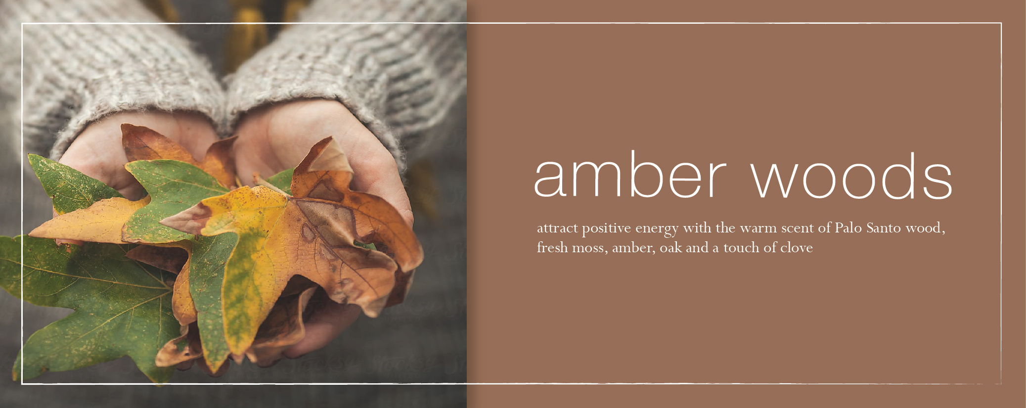 amberwoods-2-fragrance-banner.jpg