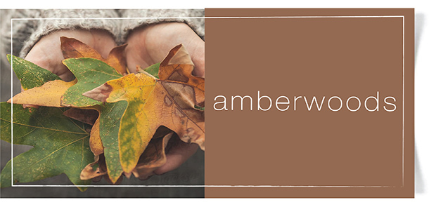 amberwoodsfragrance4.jpg