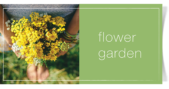 flower-garden-fragrance.jpg