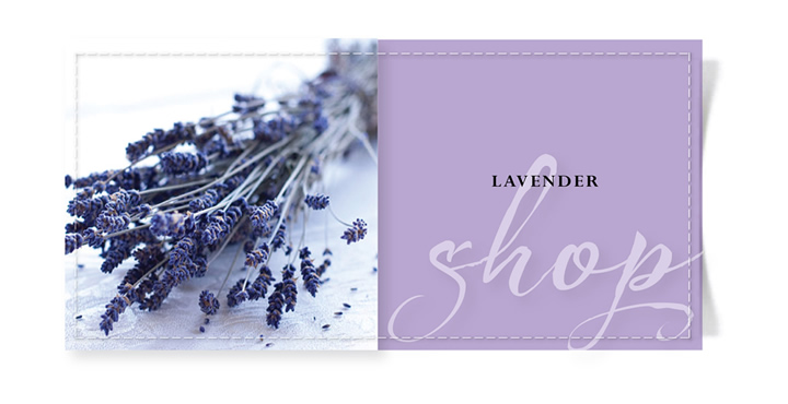 lavenderfragrance4.jpg