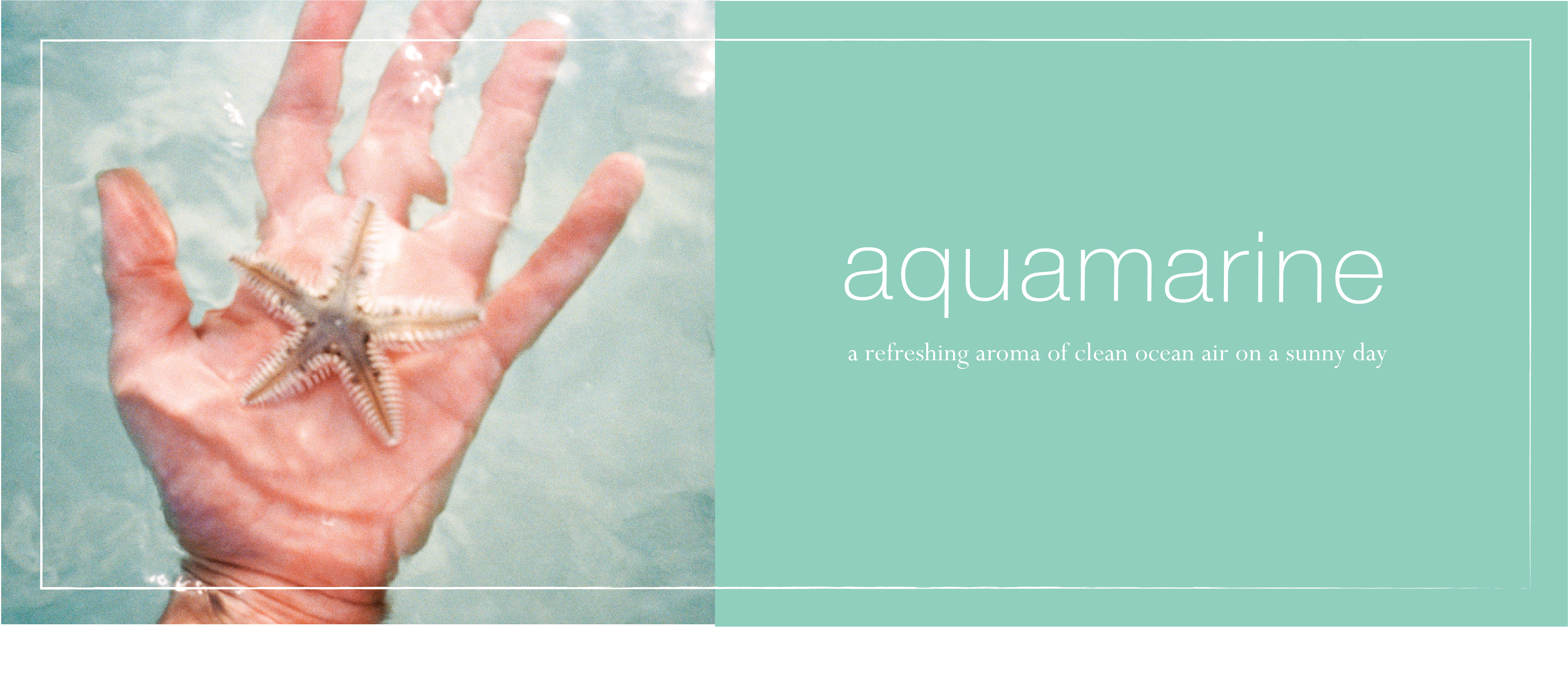 new-aquamarine-fragrance-banner.jpg