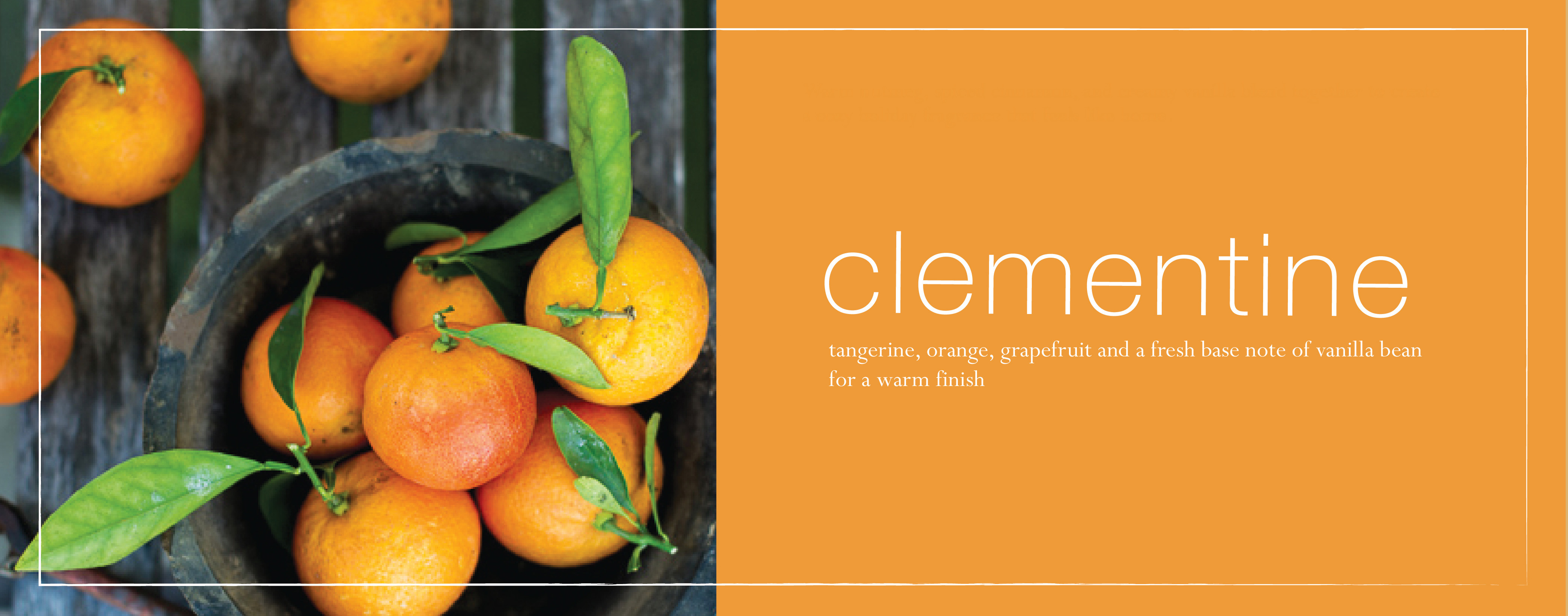 new-clementine-fragrance-banner.jpg
