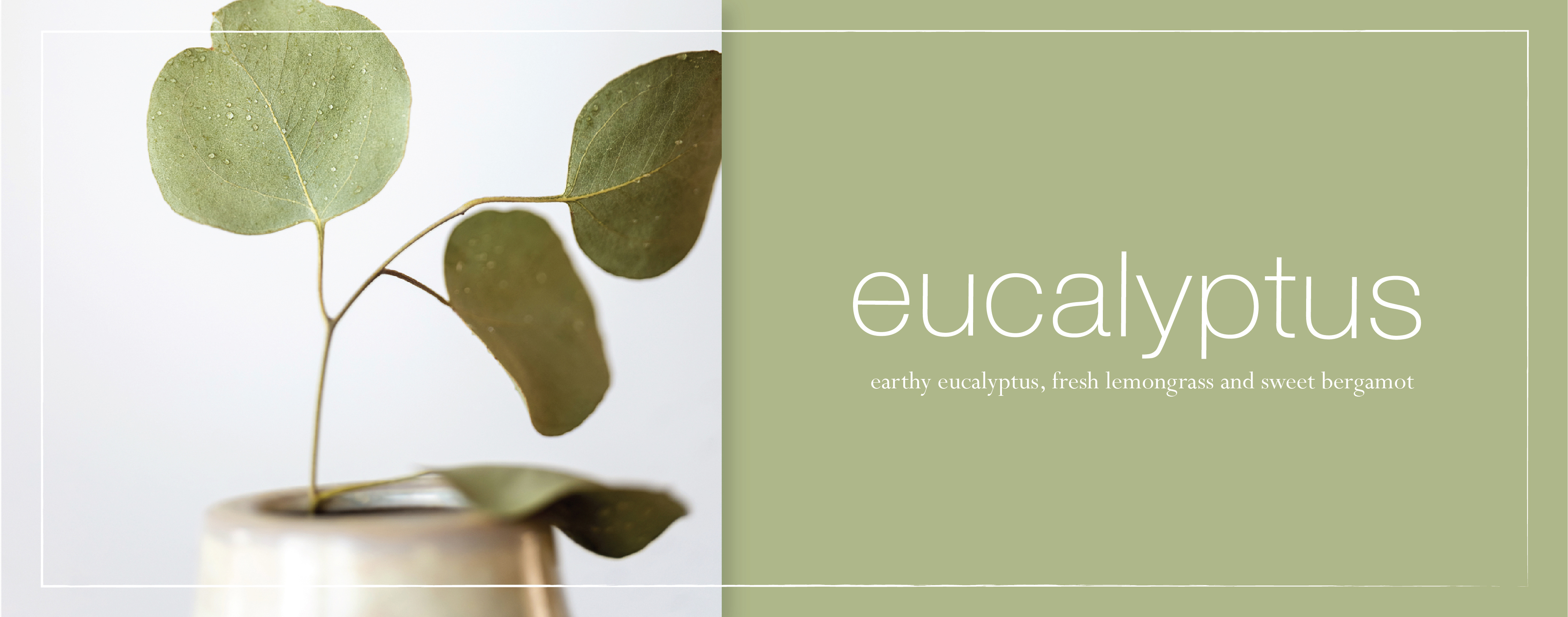 new-eucalyptus-fragrance-banner.jpg