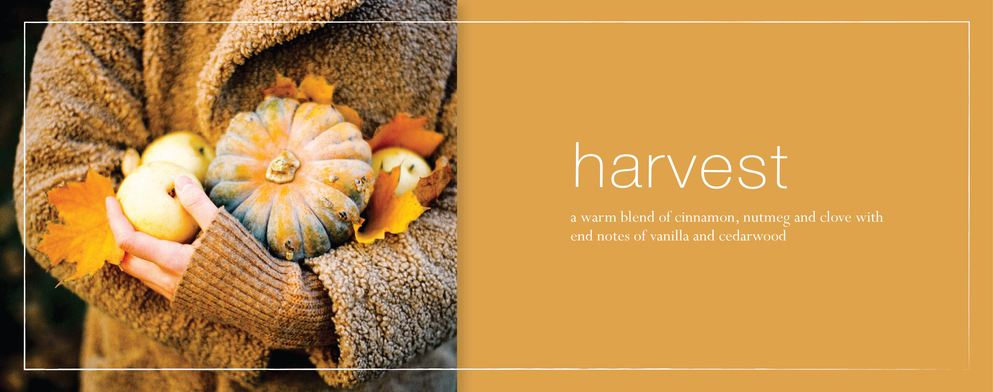 new-harvest-fragrance-banner.jpg