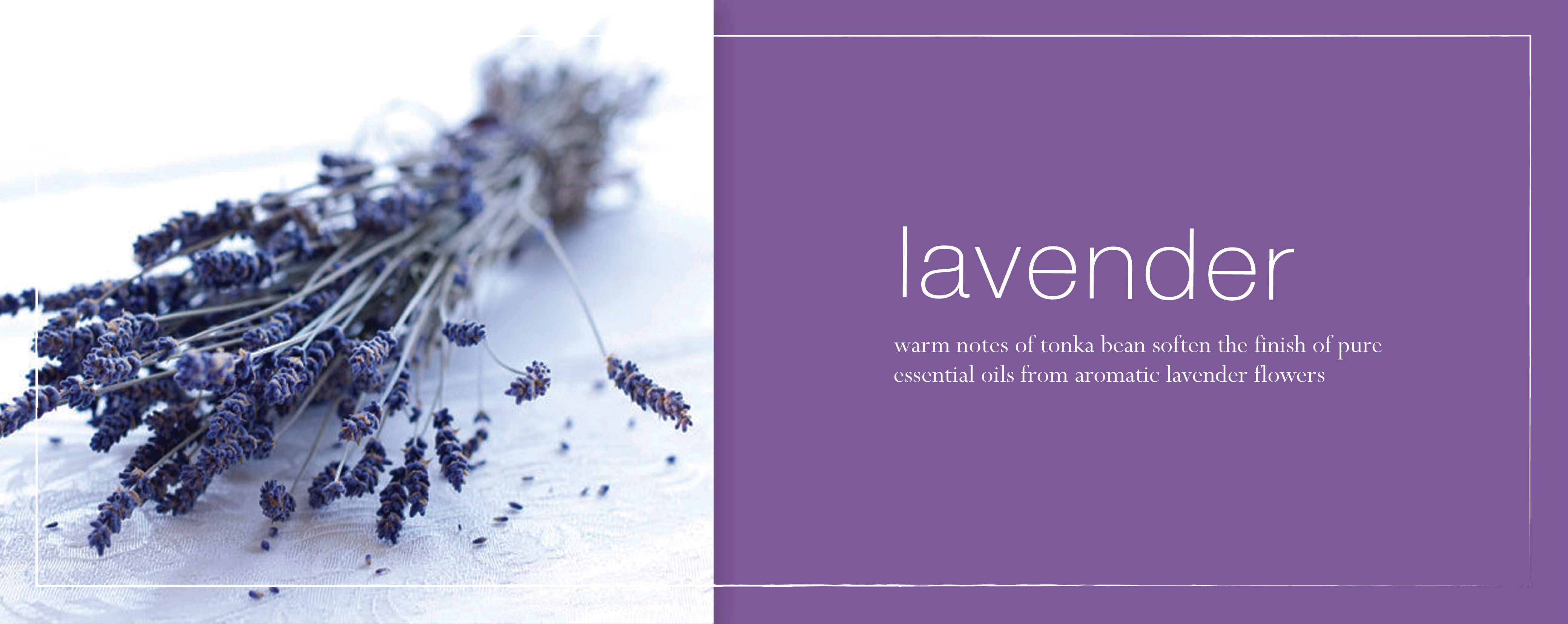 new-lavender-fragrance-banner.jpg new-lavender-fragrance-banner.jpg