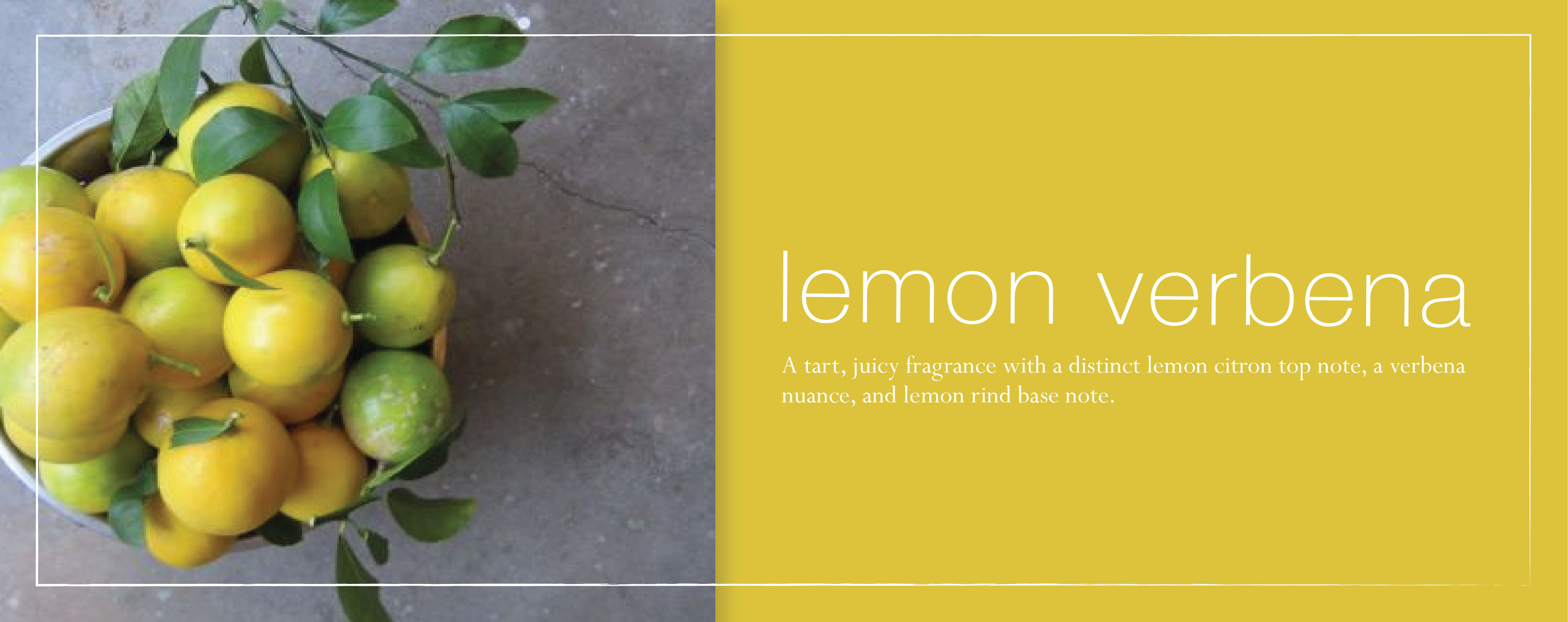 new-lemon-verbena-fragrance-banner-copy-copy.jpg new-lemon-verbena-fragrance-banner-copy-copy.jpg