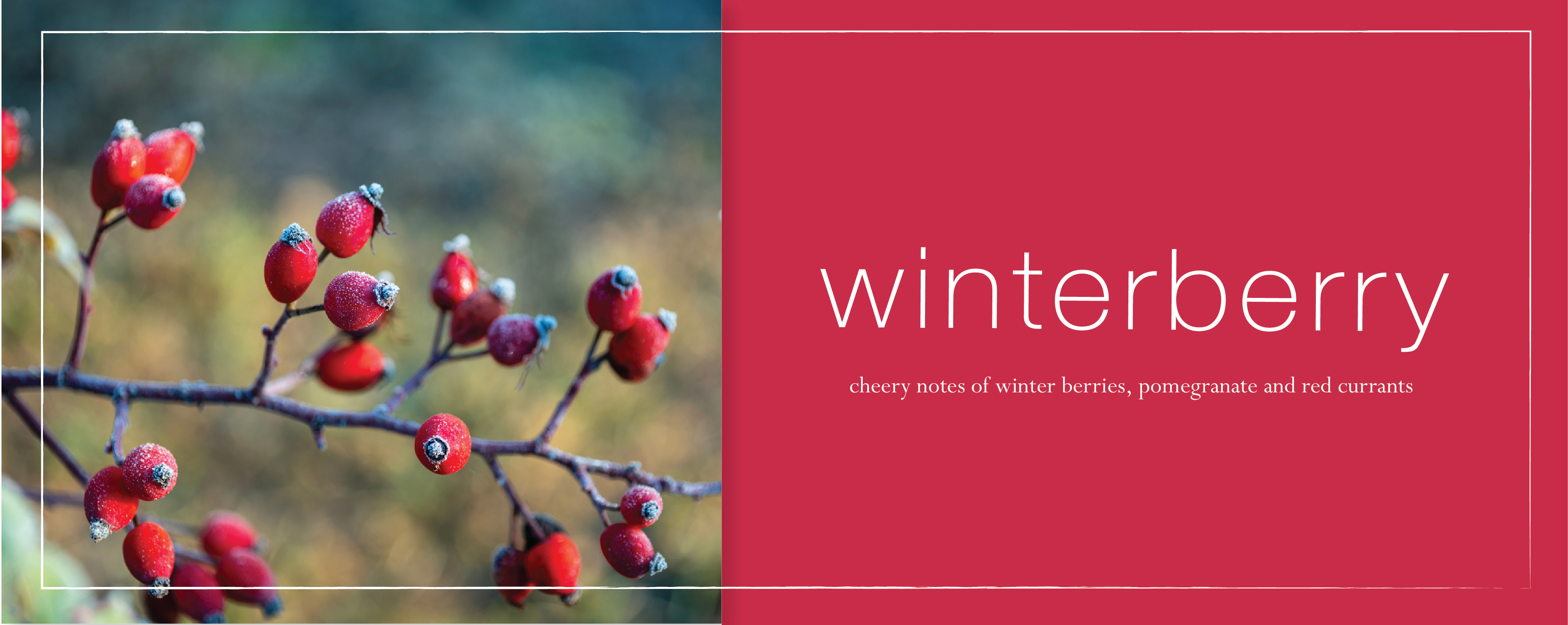 new-winterberry-fragrance-banner.jpg