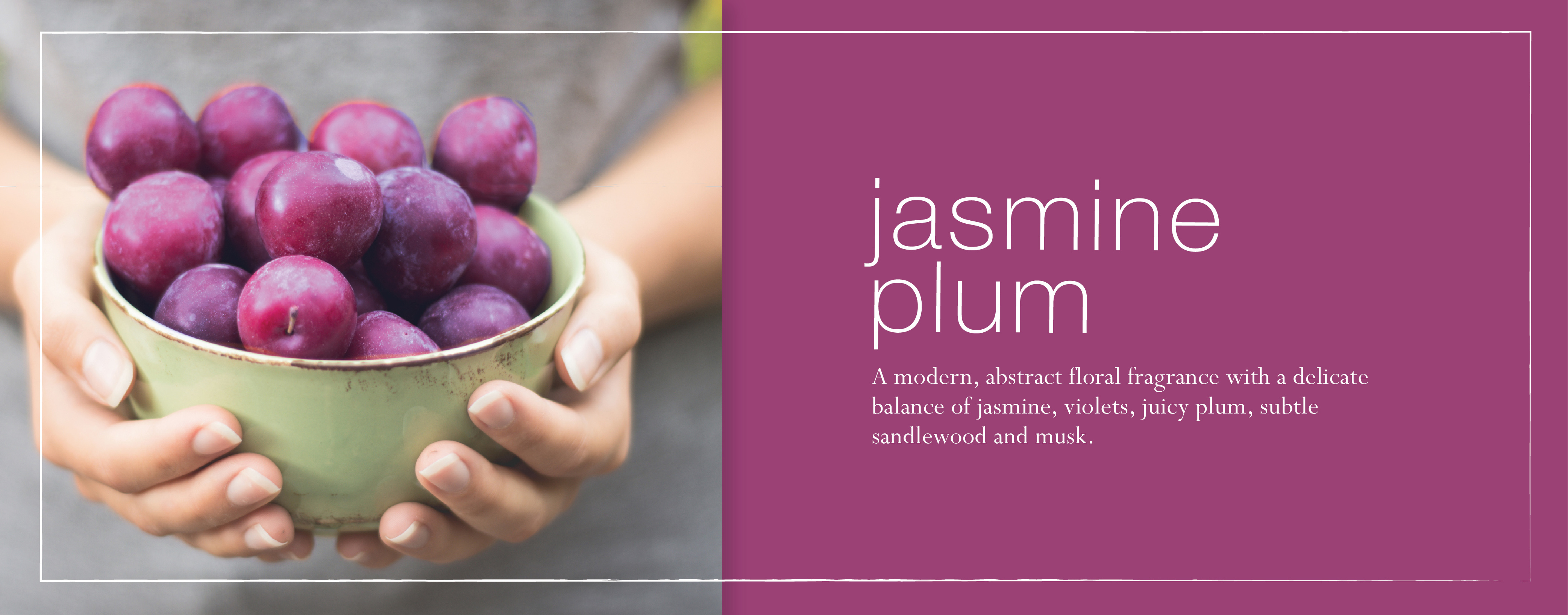 new2-jasmine-plum-fragrance-banner-copy.jpg