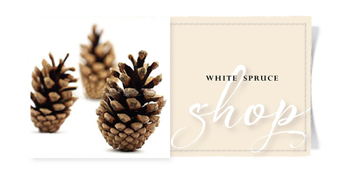 whitesprucerfragrance4.jpg