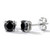1 Carat Fancy Black Diamond Stud Earrings 14k White Gold