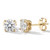 2 Carat Lab Grown Diamond Stud Earrings 14k Yellow Gold