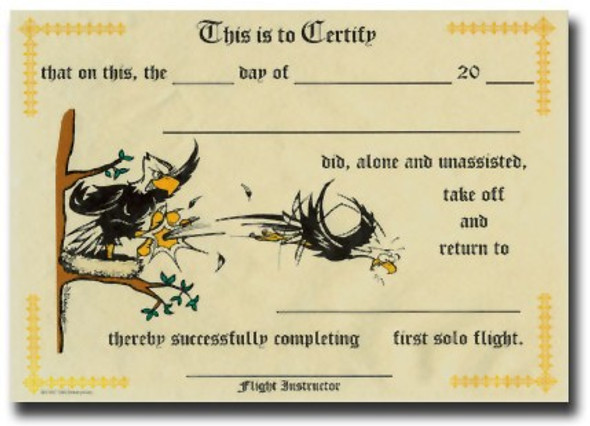 First Solo Certificate (10pack): FIRST SOLO/10