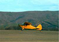 Note Card 7 NOTECARD7