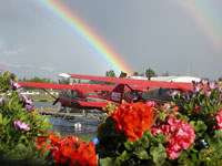 Birthday Card 2 Birthday2