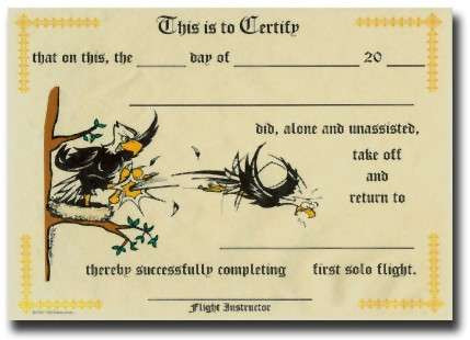First Solo Certificate FIRST SOLO/S