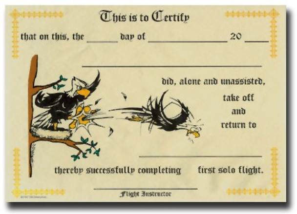 First Solo Certificate (10pack): FIRST SOLO/10