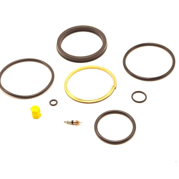 CESSNA 310R MAIN STRUT KIT
PP310RMSSK-1