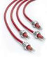 M4011 Champion Ignition Harness M4011 