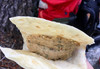 Hummus on the trail in a tortilla by Outdoor Herbivore
