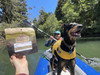 This Meal is Approved by Dog Kayakers!