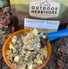 Waldorf Salad by the Spoonful