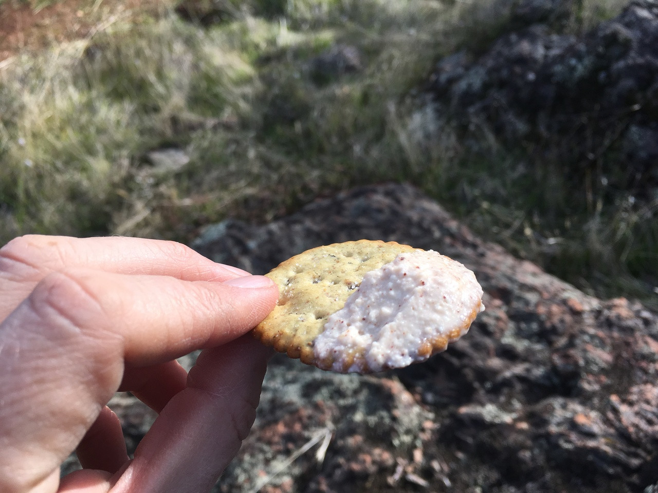 Instant Vegan Dried Cheese Powder Outdoor Herbivore