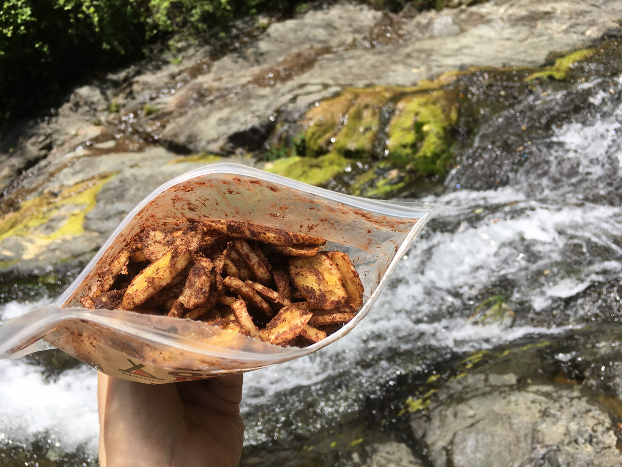 Organic Cocoa Peanut Plantain Chips | Outdoor Herbivore