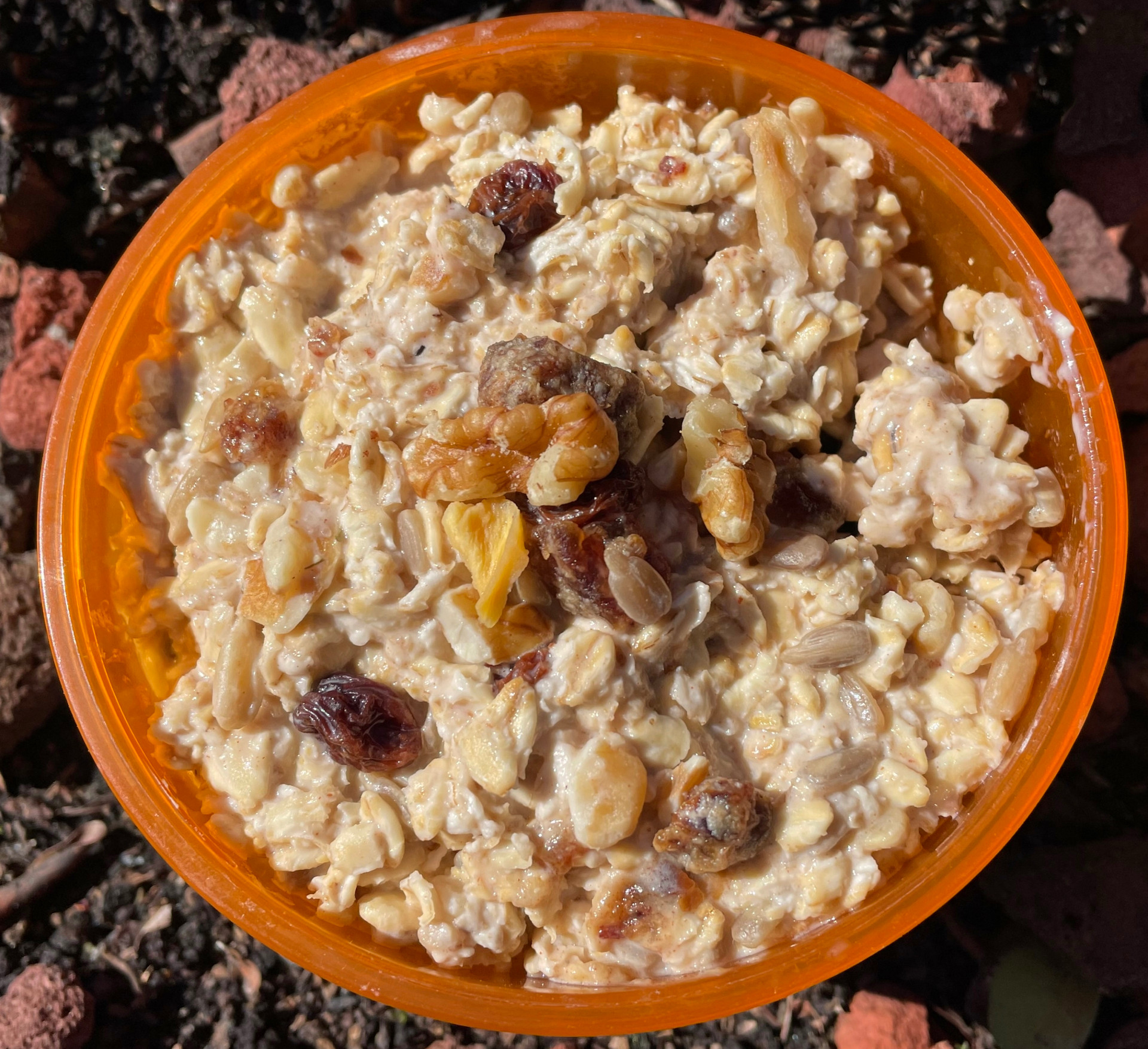 Fruit and Nut Muesli Cold Cereal with Instant Soy Milk Outdoor Herbivore