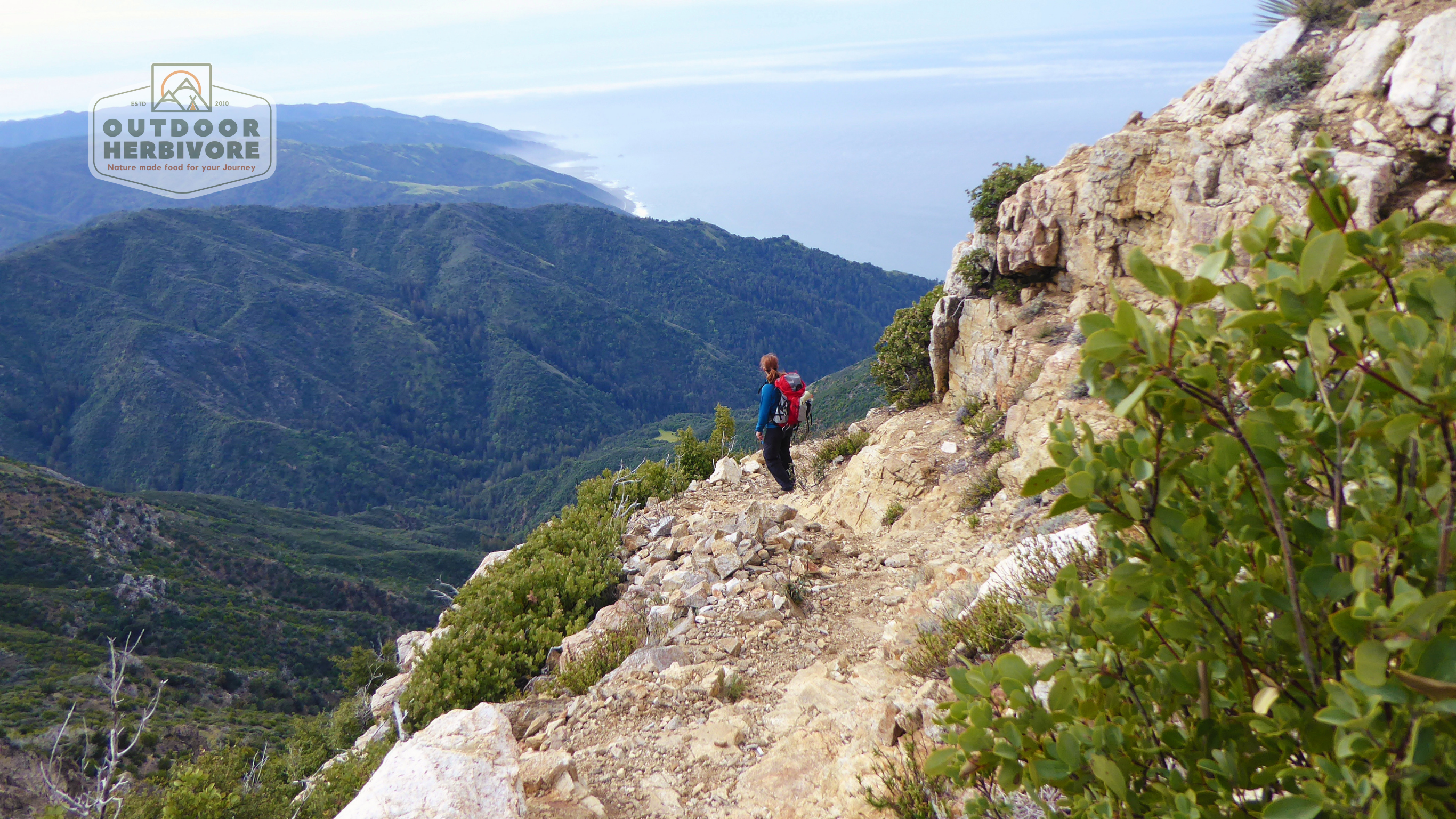 Vegetarian Backpacking Food by Outdoor Herbivore
