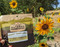 Outdoor Herbivore Sunny Sunflower
