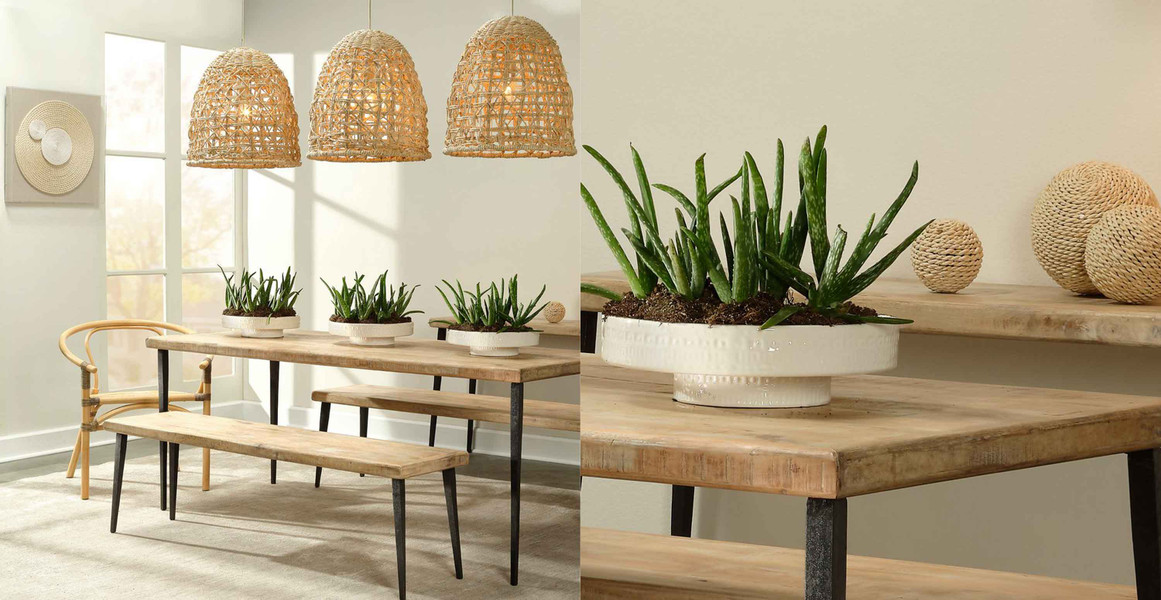 Coastal Ceramic White Pedestal