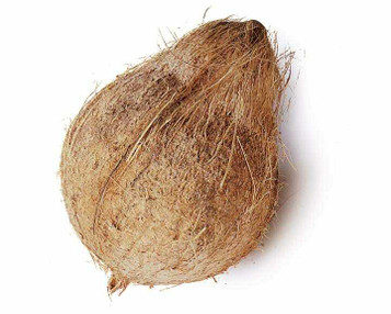 Coconut / Shrifal for Puja and Religious rituals