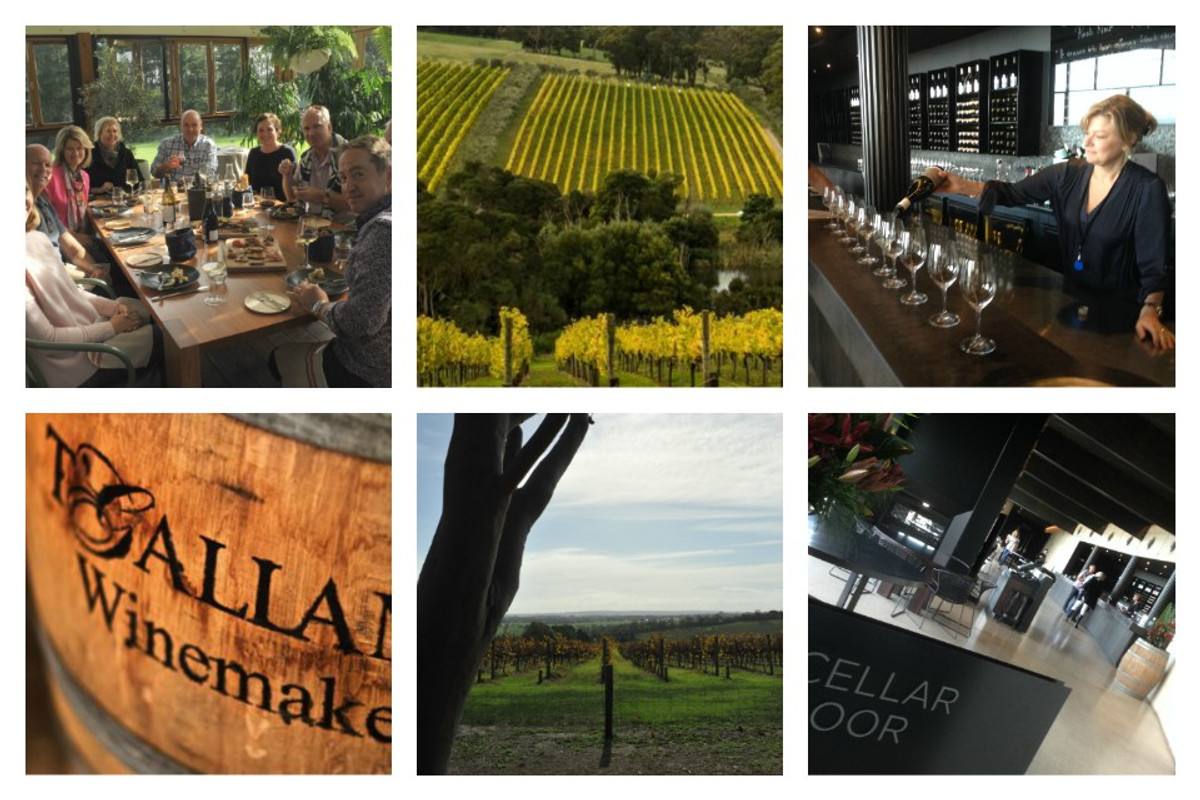 Mornington Peninsula Wine Tour Maxfield Live